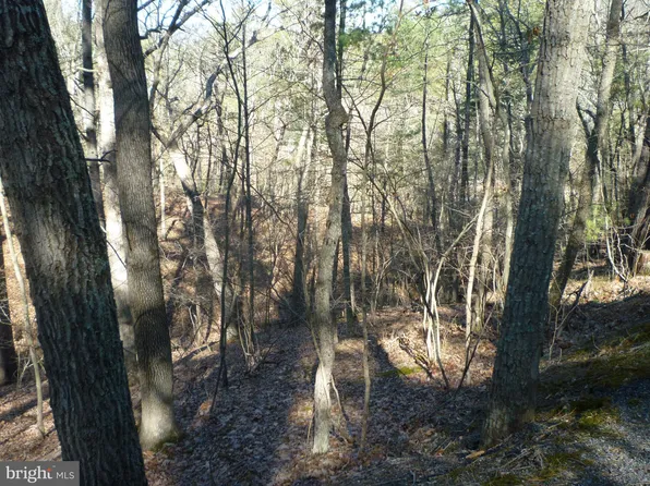 312 Breckinridge Rd, Basye, VA 22810