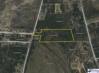 685 Macedonia Church Rd, Cheraw, SC 29520