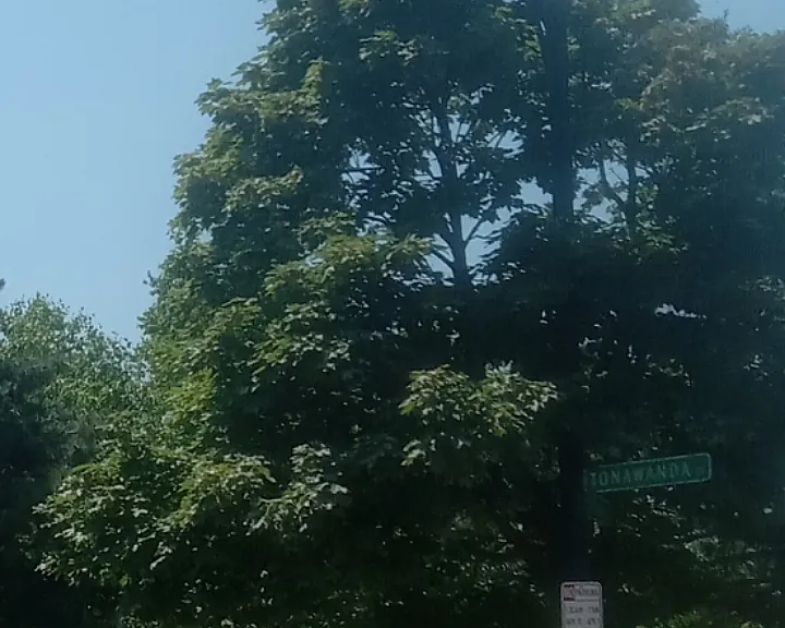 Tonawanda St — Photo 4