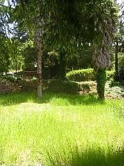 5th image of 3643 Redwood Dr