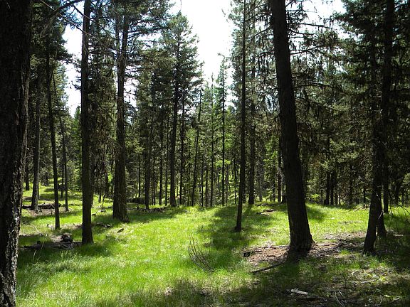4th image of LOT 65 Spring Creek Dr
