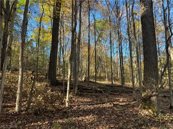 41272 Township Road 78, Coshocton, OH 43812