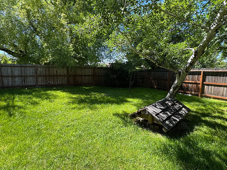 Backyard shot from back door