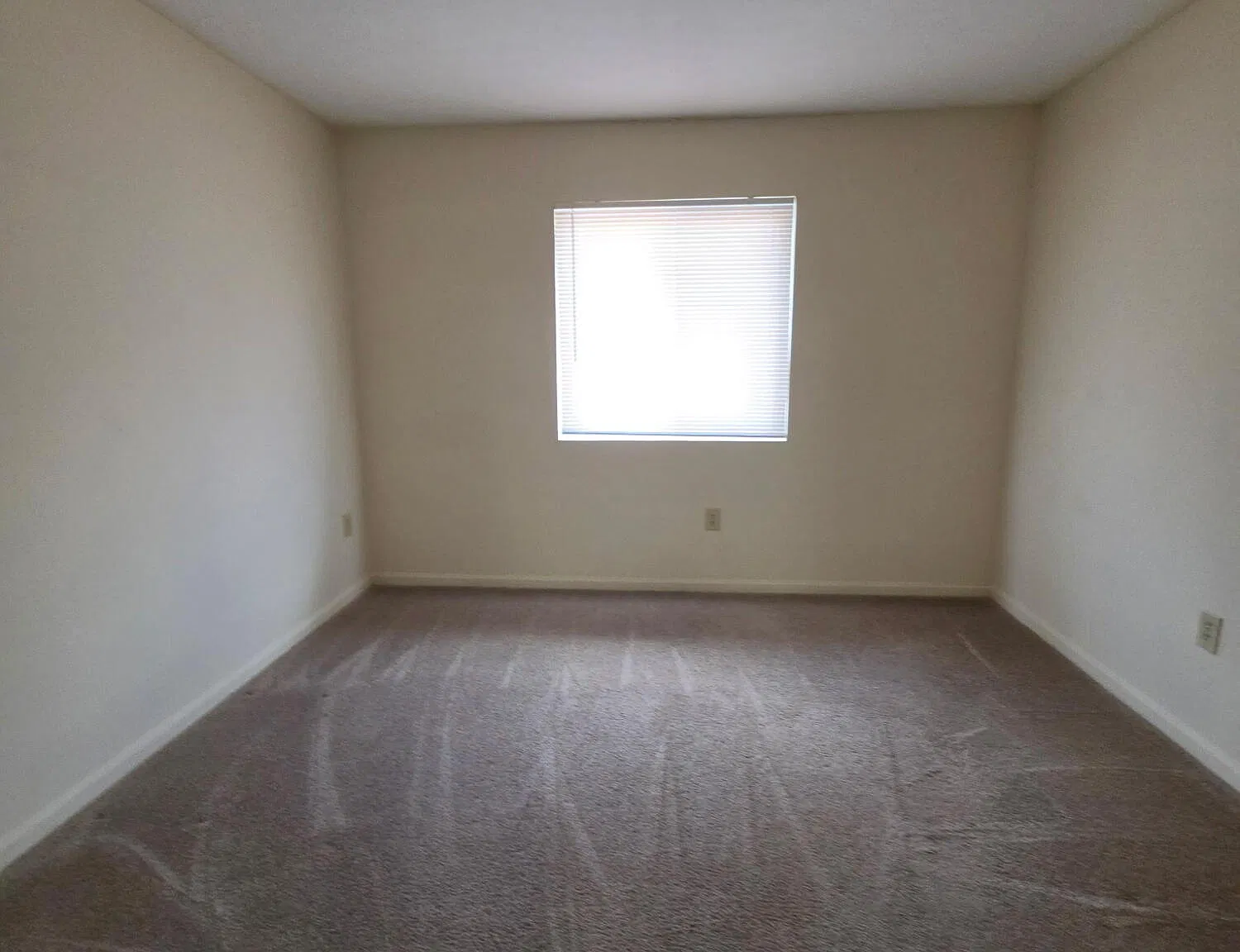 2 bed, 1.0 bath, 654 sqft, $1,045 — Photo 3