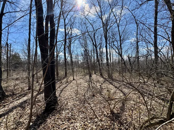 1725 E St, Tiskilwa, IL 61368