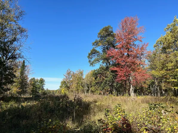 Xxxx 72nd St SW, Pequot Lakes, MN 56472