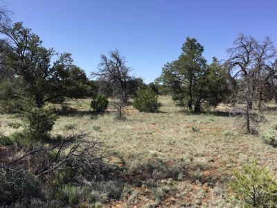 LOT 206 E Meadow Dr, Ramah, NM, 87321