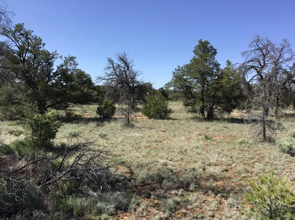 LOT 206 E Meadow Dr, Ramah, NM 87321