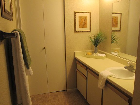 4th image of 1019 Dornajo Way APT 151