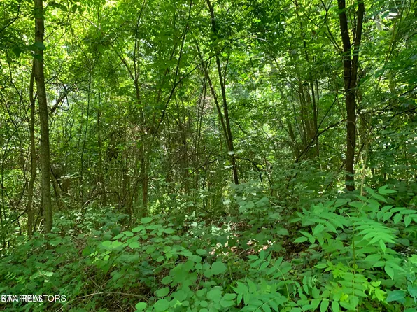 Cavalry Rd, New Tazewell, TN 37825
