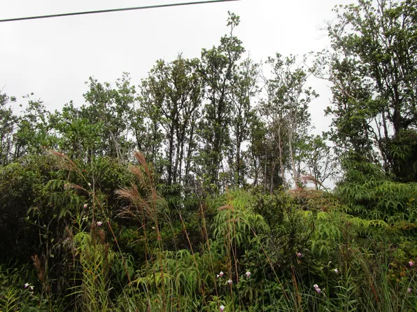 Malia Aina Rd Lot 1, Volcano, HI 96785