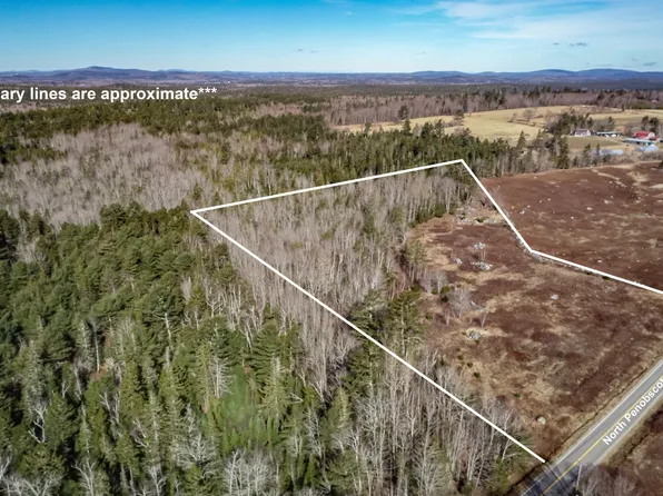 MAP14LOT8 Route 199 Road, Penobscot, ME 04476