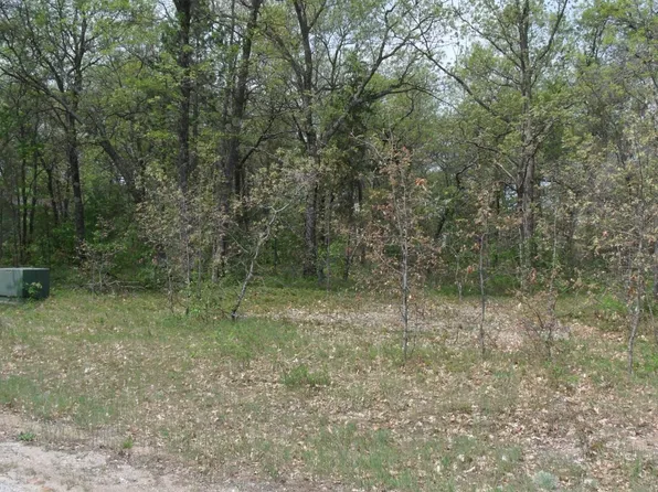 5916 Berry Ln, Indian River, MI 49749