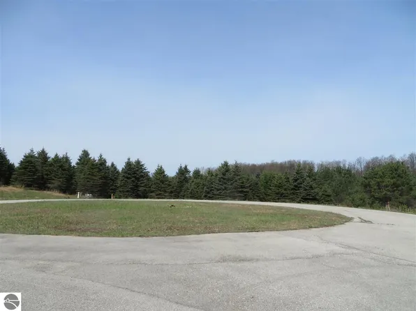 1 Spruce Hollow Trce, Fife Lake, MI 49633
