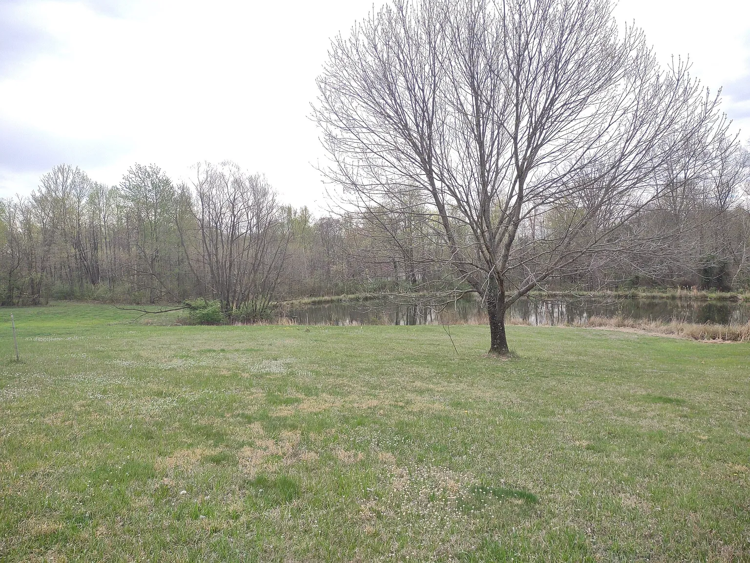 2431 W Wavelyn Cir S photo 1