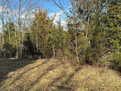 Taft Hwy, Dry Ridge, KY, 41035