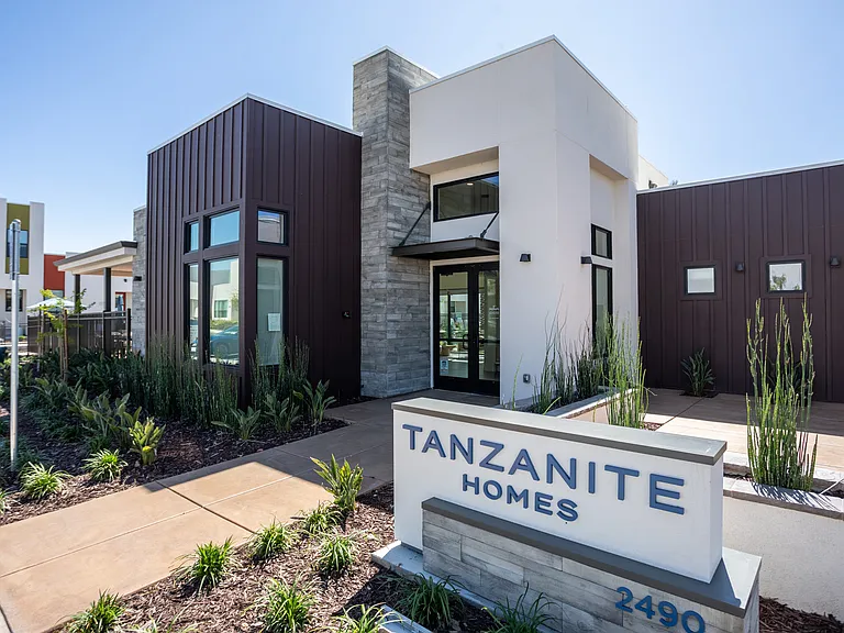 Tanzanite — Photo 46