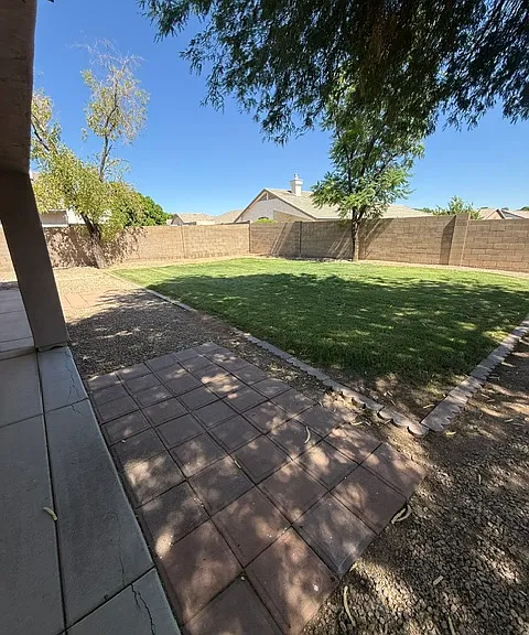 Natural grass in backyard