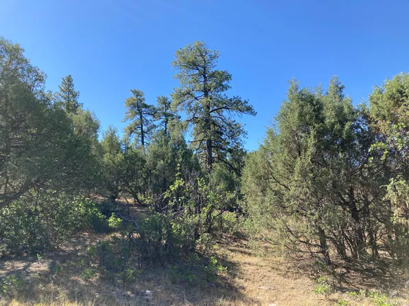 26 Falls Creek Rd, Chama, NM 87520