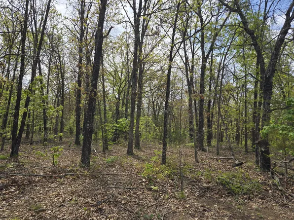 Tract L Greatview Lane, Lebanon, MO 65536