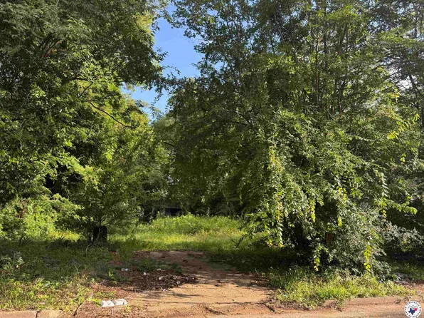 2107 W 17th St, Texarkana, TX 75501