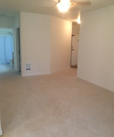 1220 E Columbia St #206 — Photo 5