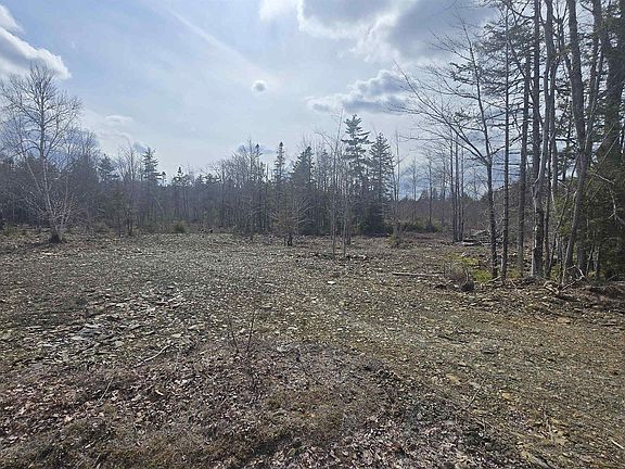 5th image of Upper Branch Rd Lot 25-4
