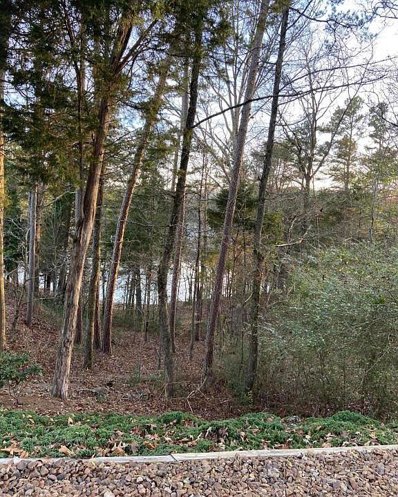 2nd image of 104 Coyatee Point Dr