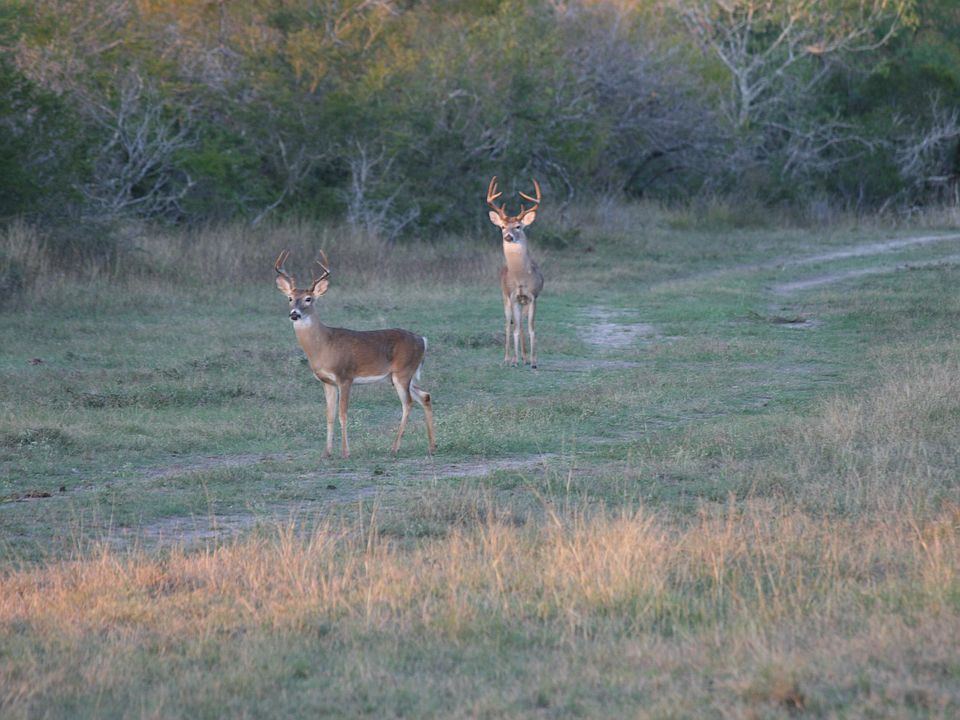 1st image of Hwy 77 S