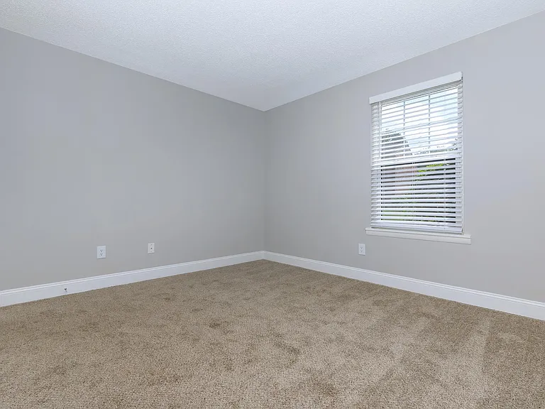 CLASSY CARPETED FLOORS