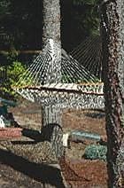 Garden hammock.