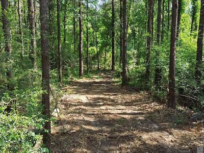 TRACT Harts Ln #B, Kentwood, LA, 70444