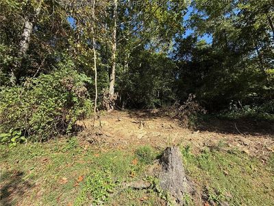 0 Straight Frk, Griffithsville, WV, 25521