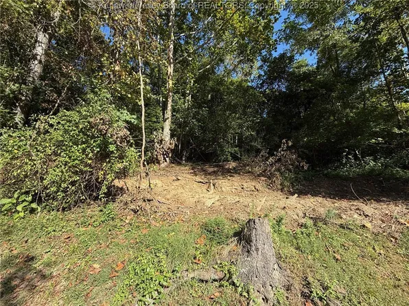 0 Straight Frk, Griffithsville, WV 25521
