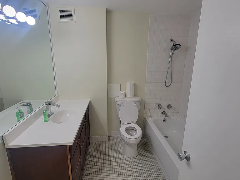 233 E Erie St #2201 — Photo 11