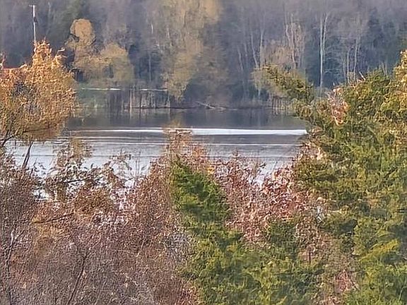 4th image of 11561 Old Apple Hill Rd