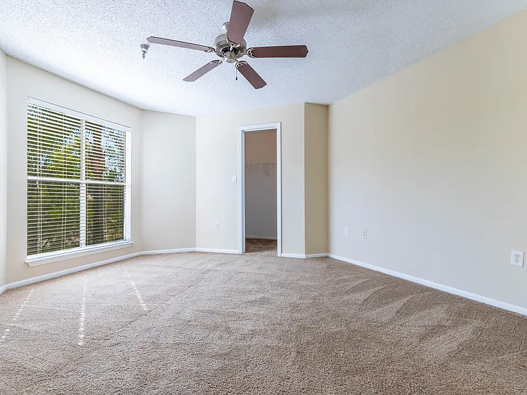 Palm Cove Apartments — Photo 43