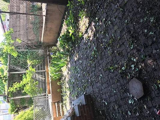 Rented by Nooklyn NYC LLC | media 27