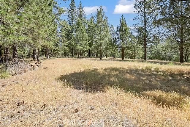 1st image of 15000 Ponderosa Way