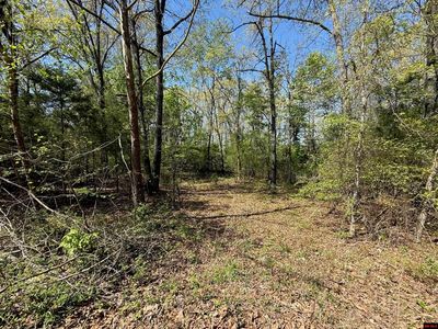 22 Big Tree Ct, Elizabeth, AR, 72531