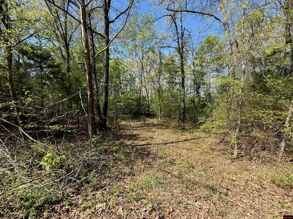 22 Big Tree Ct, Elizabeth, AR 72531