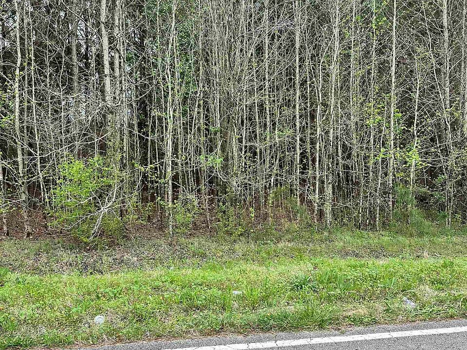 1st image of LOT 10 W Limestone School Rd