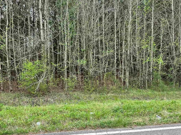 LOT 10 W Limestone School Rd, Lester, AL 35647