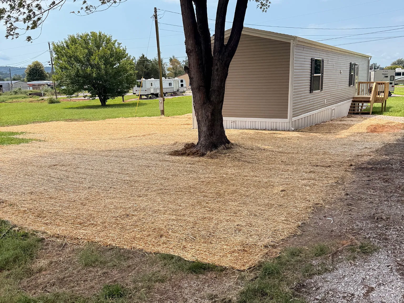 2 bed, $1,000 — Photo 1