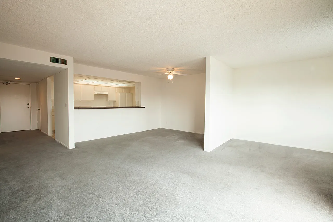 2 bed, $4,800 — Photo 3