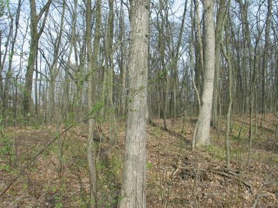 9323 Baker Rd, Jerome, MI, 49249