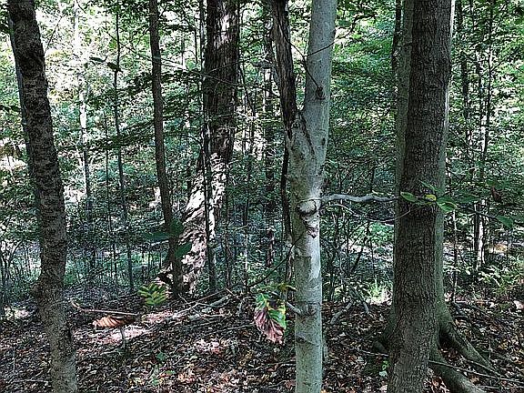 2nd image of 3537 Hamilton Dr