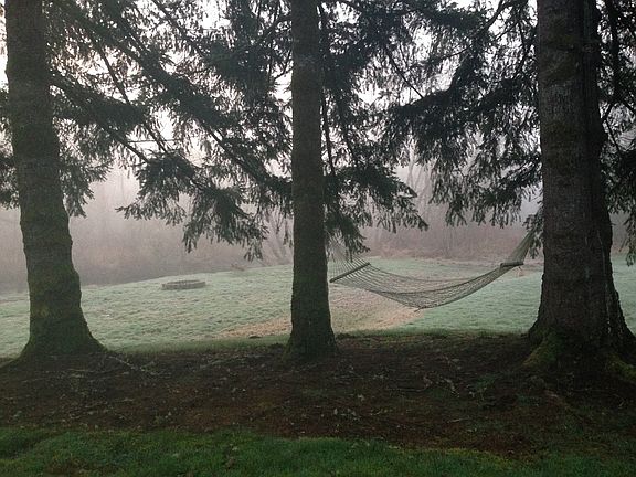 Hammock Overlooking Creek