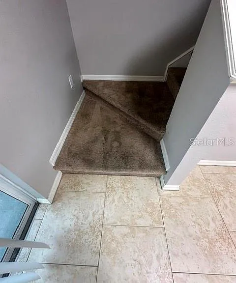 15723 Fishhawk Falls Dr — Photo 10