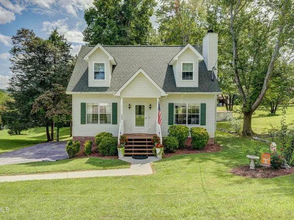 262 Ridgeview Dr, Gray, TN 37615